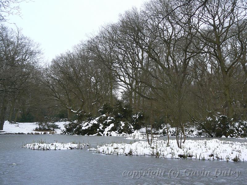 Winter, Hampstead Heath P1070623.JPG